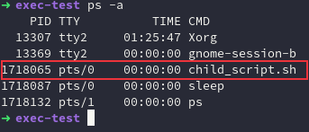 [2] Sử dụng exec